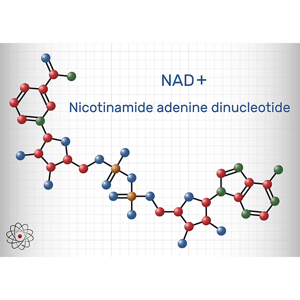 chemical compound for NAD